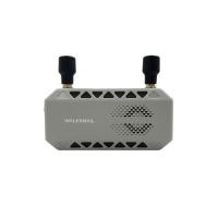 Видеосистема FPV Walksnail Ascent GT Pro VRX (Industrial Version) (WN02-FP008)