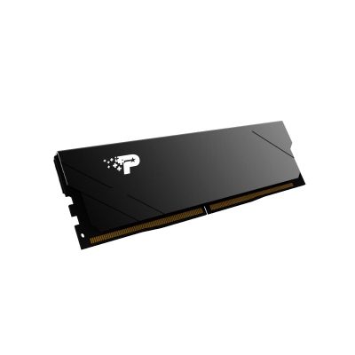 Модуль пам\'яті для комп\'ютера DDR5 16GB 5600 MHz Signature Line Premium Patriot (PSP516G560081H1)