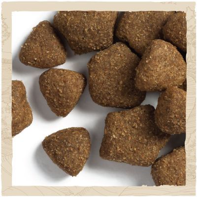 Сухий корм для собак Purina Dog Chow Adult Lamb зі смаком ягняти 14 кг (7613034487636)