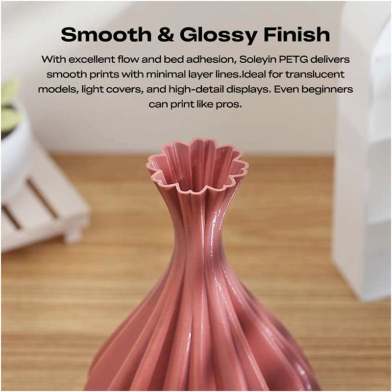 Пластик для 3D-принтера Creality Soleyin PETG 1.75мм, 1кг, purple mangosteen (3301030161)