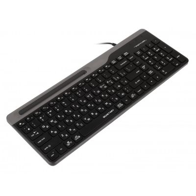 Клавіатура A4Tech FK25 USB Black (4711421959964)