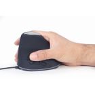 Мишка Gembird (MUS-ERGO-03) USB Black (MUS-ERGO-03)