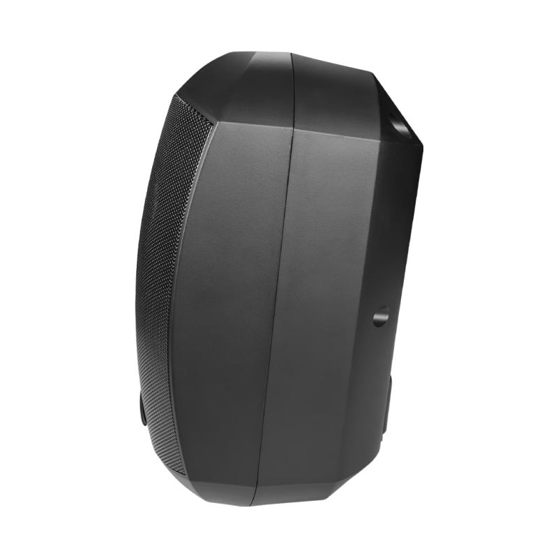 Гучномовець CMX (WSK-420DS)