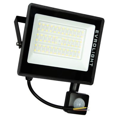 Прожектор EVROLIGHT (FM-01D-50 50W 6400К)