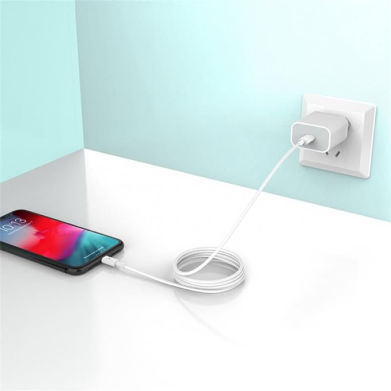 Зарядний пристрій SkyDolphin SC18EL PD2.0 (1USB-С, 3A) White + кабель Lightning (MZP-000156)
