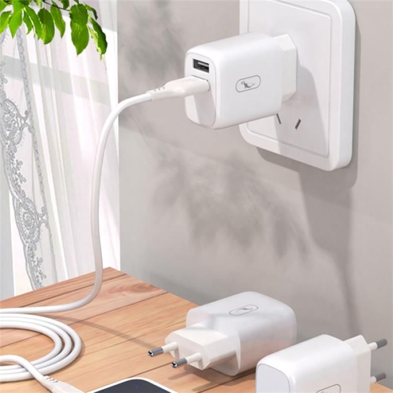 Зарядний пристрій SkyDolphin SC22EBL (2USB, 2.1A) White + кабель Lightning (MZP-000162)