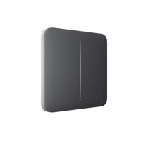 Кнопка для двухклавишного выключателя Ajax SoloButton (2-gang) Graphite (46016.144.GP)