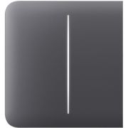 Кнопка для двухклавишного выключателя Ajax SideButton (2-gang) graphite (46022.143.GP)