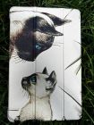 Чeхол BeCover Smart Case для Samsung Galaxy Tab A9 Plus SM-X210/SM-X215/SM-X216 11.0" Cat (711277)