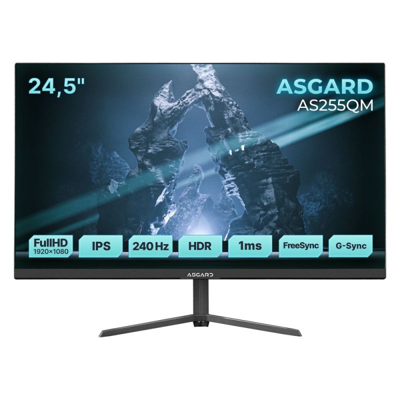 Монітор ASGARD Gaming 24.5" IPS Black 240Hz (AS255QM)