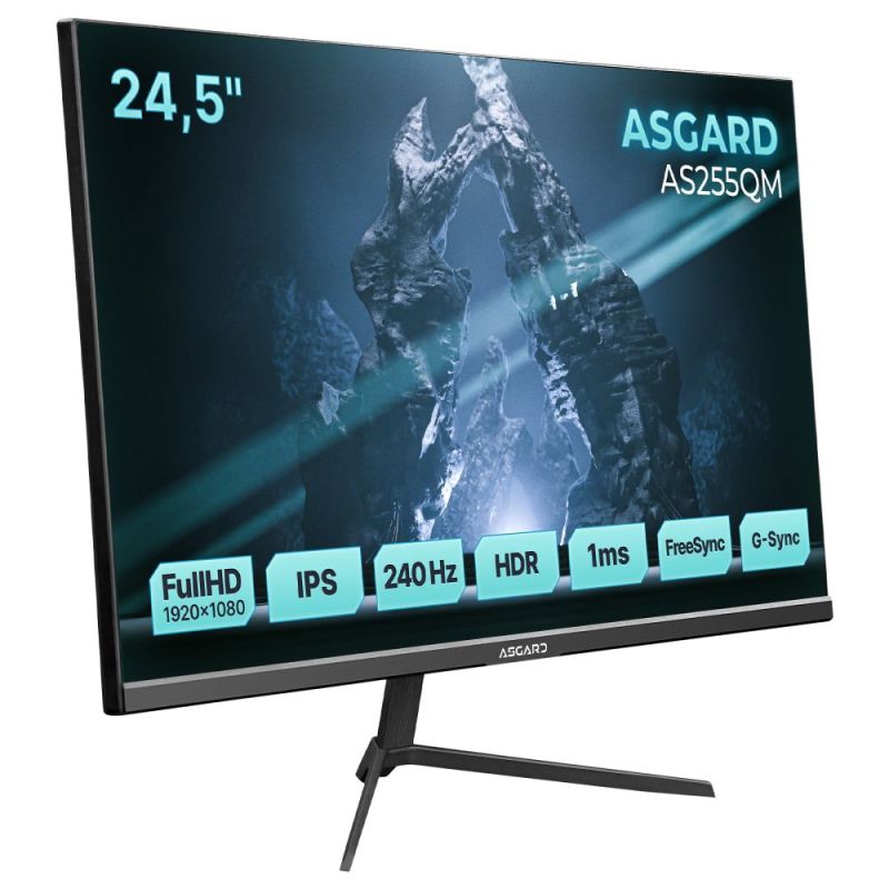 Монітор ASGARD Gaming 24.5" IPS Black 240Hz (AS255QM)