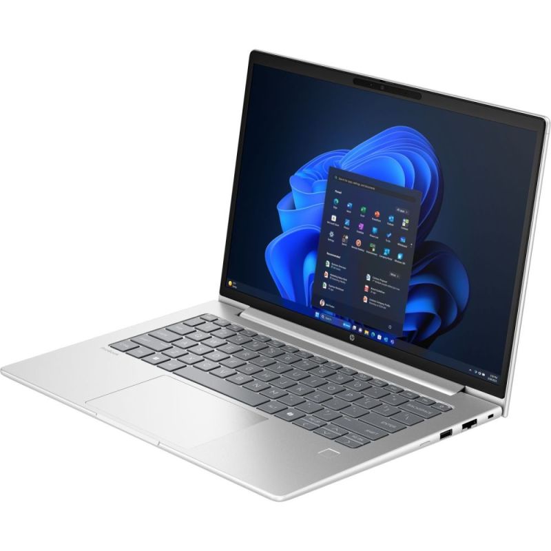 Ноутбук HP ProBook 4 G1a 14 Silver (D4VG2ET)