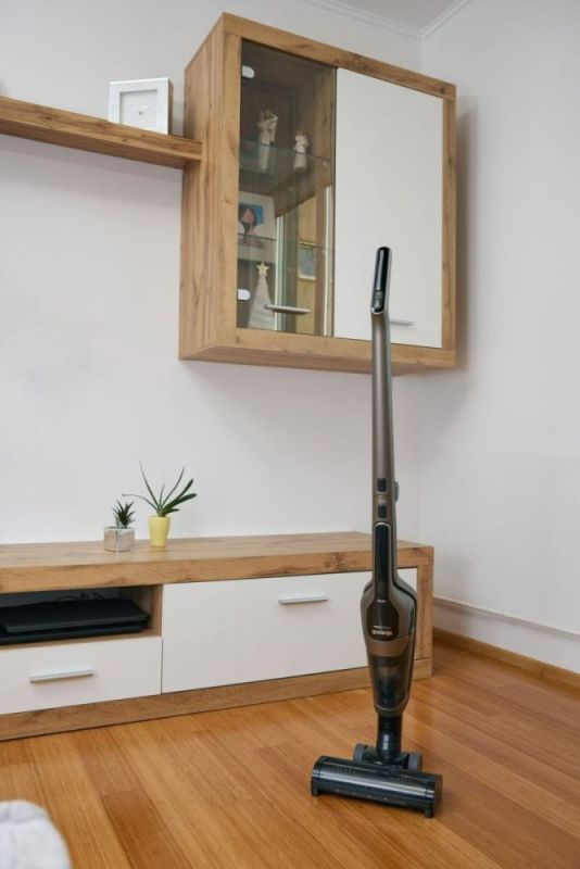 Акумуляторний пилосос Gorenje (SVC288191FSIIGO)
