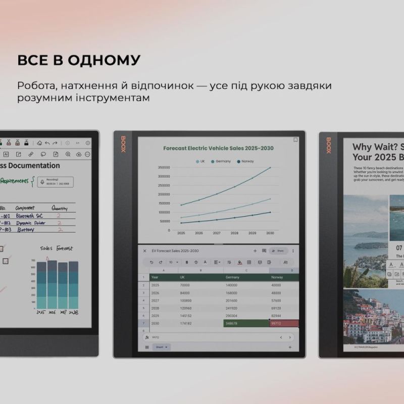 Электронная книга BOOX Tab X С (BOOX_TabX_С)