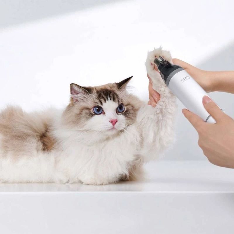 Набор для груминга Mova Pet Grooming G1Pro (CH2)