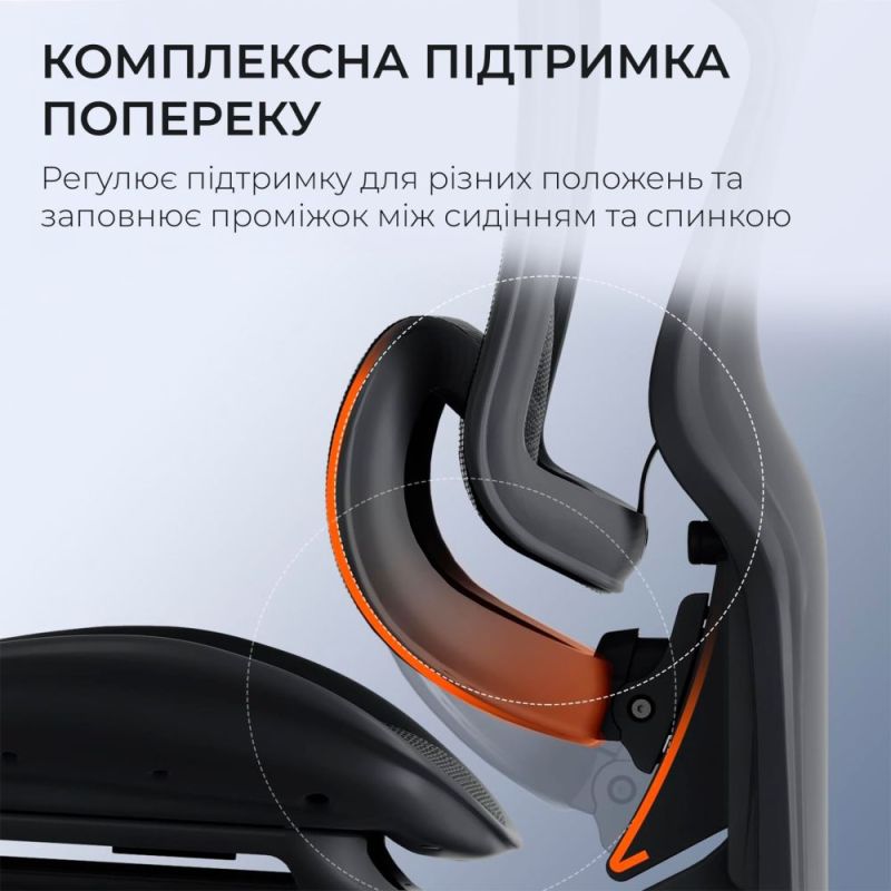 Крісло офісне Sihoo Doro C300 Pro Mesh Black (DORO-C300-PRO-M101)
