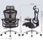 Крісло офісне Sihoo Doro C300L Mesh Black (DORO-C300L-A3-101)