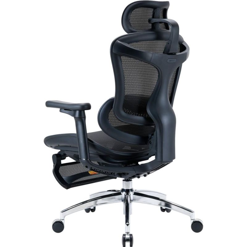 Крісло офісне Sihoo Doro C300L Mesh Black with footrest (Doro-C300L-A3-101-JT) (DORO-C300L-A3-101-JT)