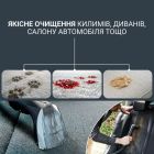 Моющий пылесос-пятновыводитель Rowenta Clean It Hot & Cold (IN7021F0)