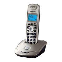 Радіотелефон DECT Panasonic Platinum (KX-TG2511UAN)