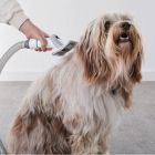 Набір для догляду за тваринами Petkit 5 in 1 Grooming Kit (LM4)