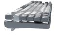 Клавіатура GamePro Genesis Metallic Outemu Red Swithes USB Gray (MK110G)