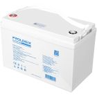 Аккумуляторная батарея Prologix 12.8V 100AH 1280Wh LiFePO4 (PLFP12-100)