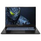 Ноутбук Dream Machines RG5050-17 Black (RG5050-17UA25)