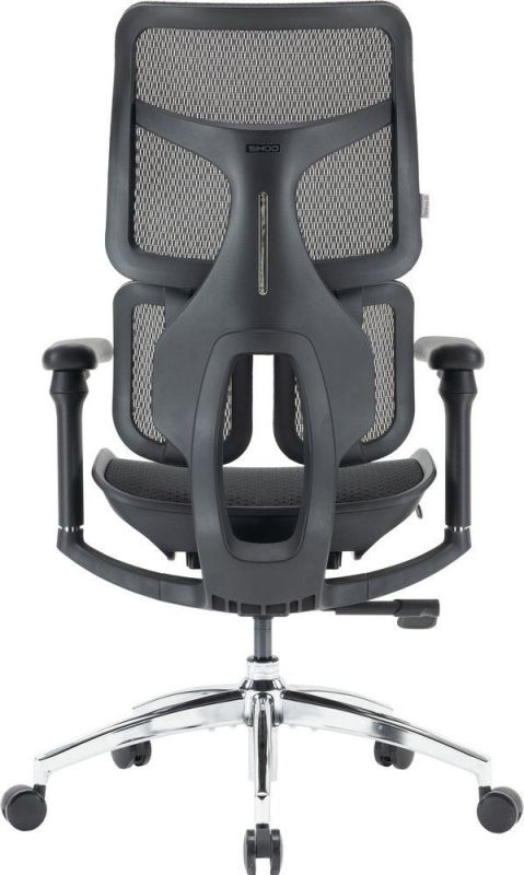 Крісло офісне Sihoo Doro S100 Mesh Black (S100-M301)
