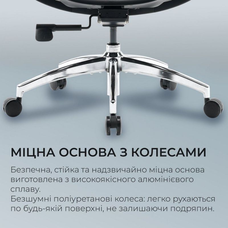 Крісло офісне Sihoo Doro S100 Mesh Black (S100-M301)