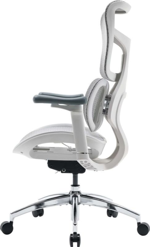 Крісло офісне Sihoo Doro S100 Mesh White (S100-M302)