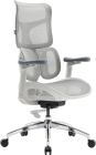 Крісло офісне Sihoo Doro S100 Mesh White (S100-M302)