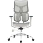 Крісло офісне Sihoo Doro S100 Mesh White (S100-M302)