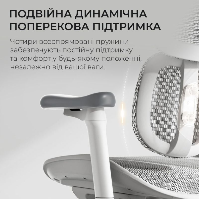 Крісло офісне Sihoo Doro S100 Mesh White (S100-M302)