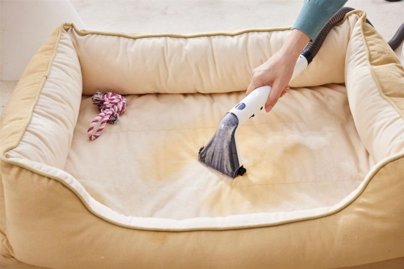 Миючий пилосос Tineco iCarpet Spot (SC050300DE)