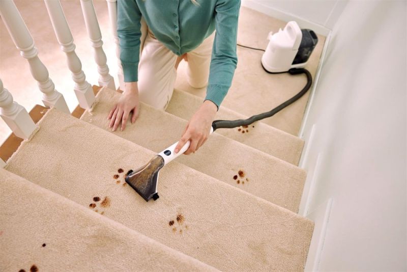 Миючий пилосос Tineco iCarpet Spot (SC050300DE)
