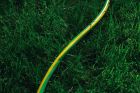 Шланг 2Е AquaFlex Green 1/2" 50м (2E-GHE12GN50)