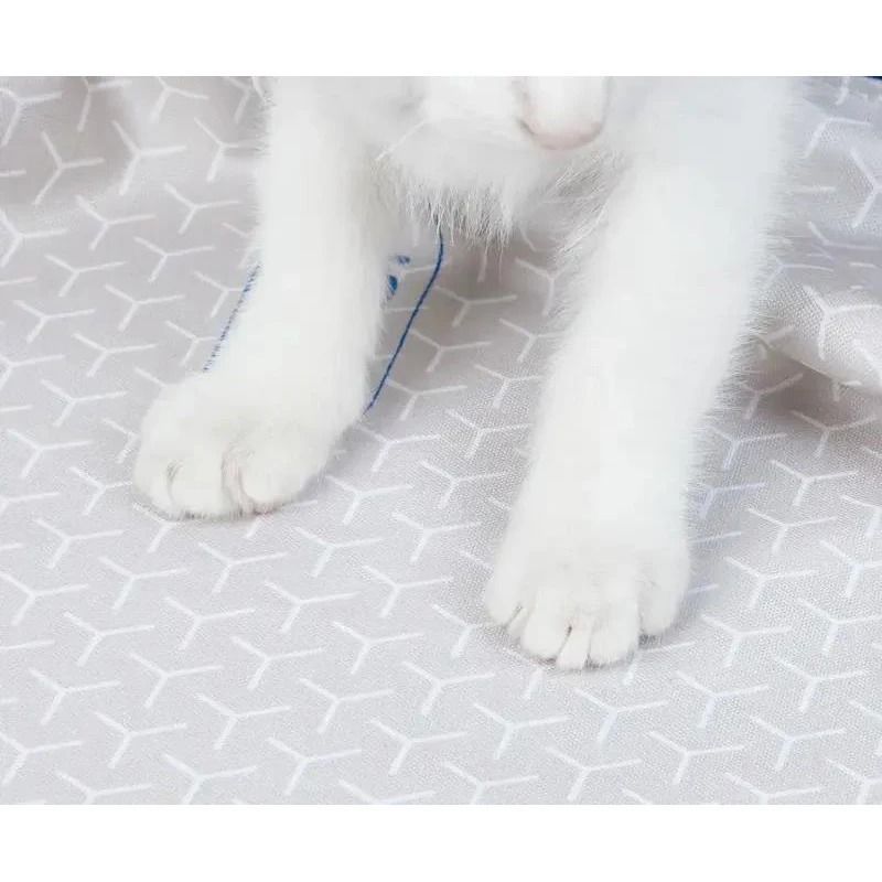 Змінна підкладка для наповнювача Petkit High Performance Cat Litter Pad Ultra (P99035)