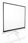 Экран мобильный на треноге 85" Elite Screens (T85NWS1)