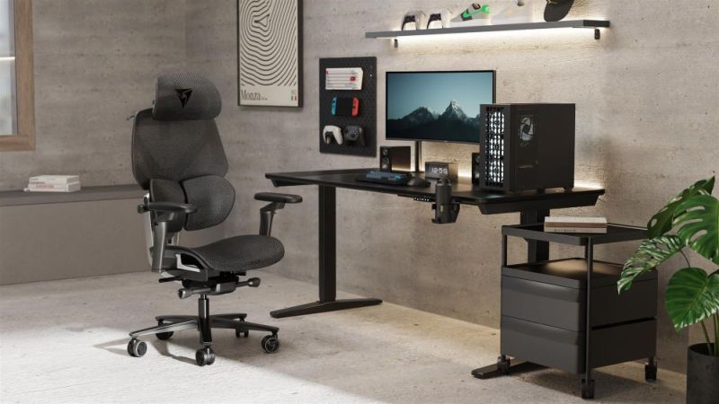 Крісло для геймерів TX3 Flex Pro Mesh Black (TEGC-3076101.12)