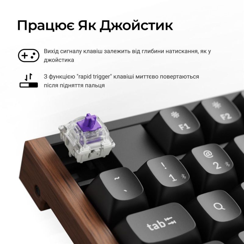 Клавиатура беспроводная Keychron K10 HE Magnetic Switch Black RGB (K10H-F1-UA)