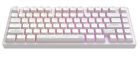 Клавиатура Dark Project ALU81 Terra Nostra White (DPKB_NOSTRA_81_ANSI_WHITE_UA)