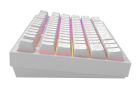Клавиатура Dark Project ALU81 Terra Nostra White (DPKB_NOSTRA_81_ANSI_WHITE_UA)