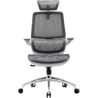 Крісло офісне Sihoo M59AS Mesh Gray (M59AS-M301)