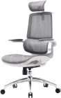 Крісло офісне Sihoo M59AS Mesh Gray (M59AS-M301)
