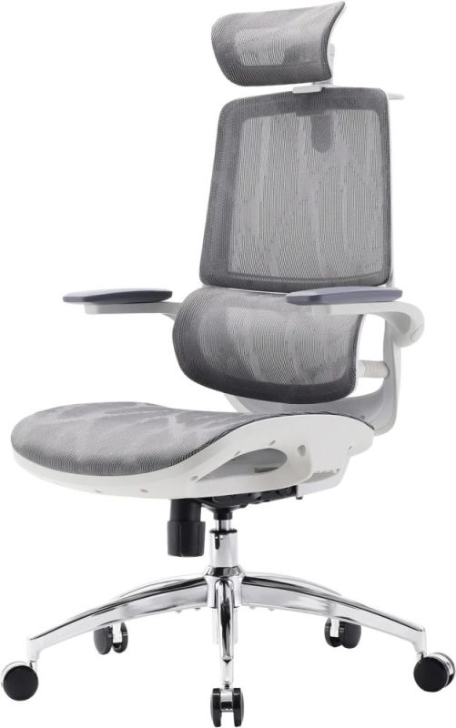 Крісло офісне Sihoo M59AS Mesh Gray (M59AS-M301)