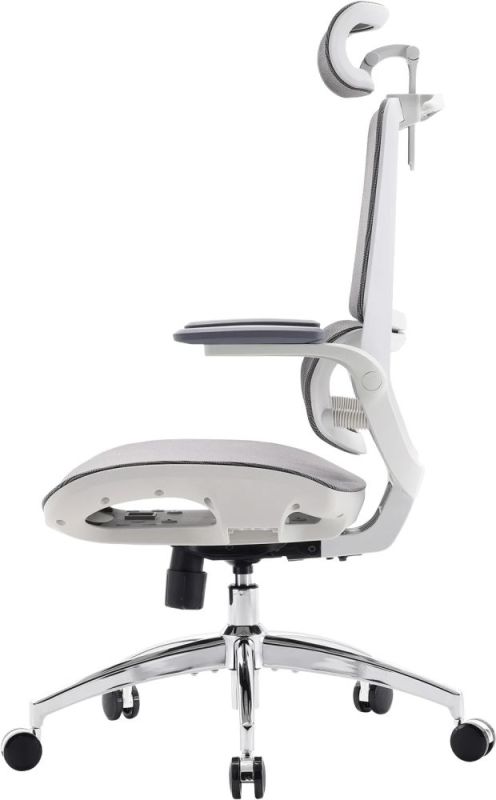 Крісло офісне Sihoo M59AS Mesh Gray (M59AS-M301)