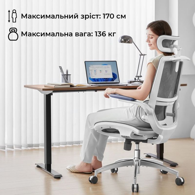Крісло офісне Sihoo M59AS Mesh Gray (M59AS-M301)