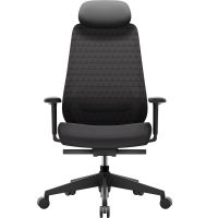 Крісло офісне OfficePro Omnis (OC640B)