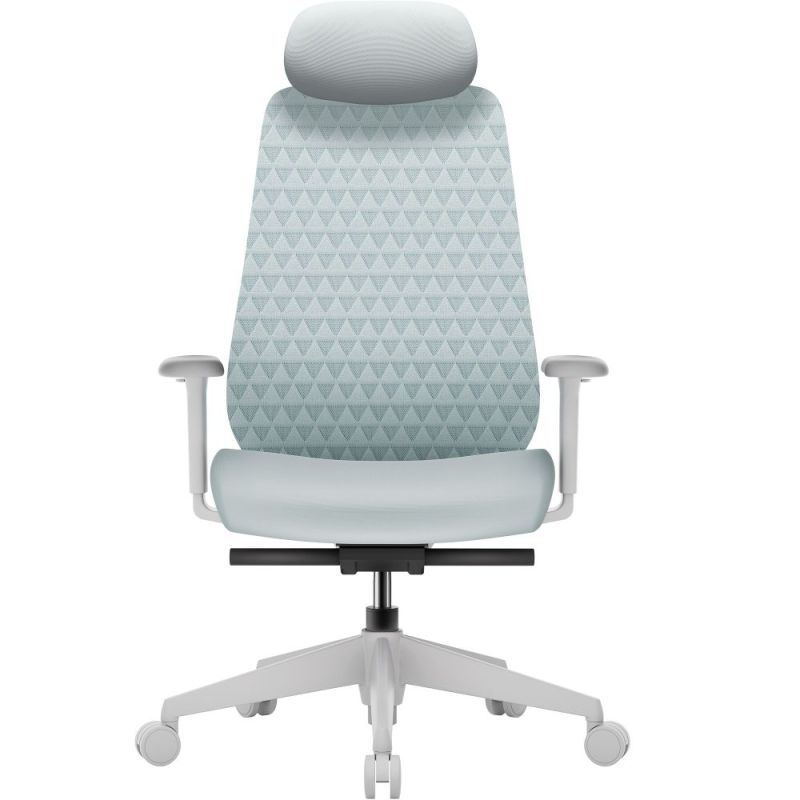 Крісло офісне OfficePro Omnis (OC640G)